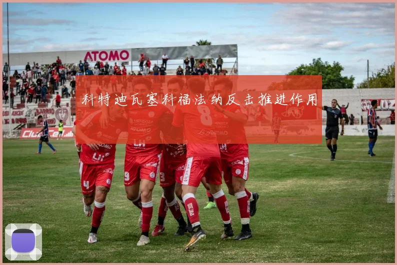 科特迪瓦塞科福法纳反击推进作用