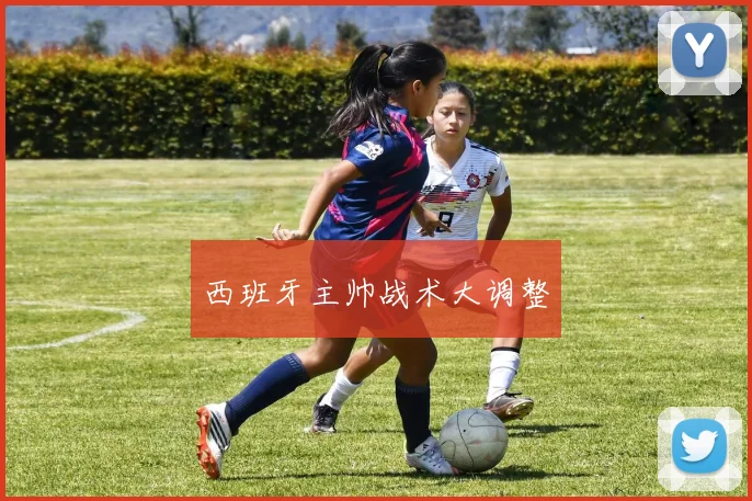 西班牙主帅战术大调整