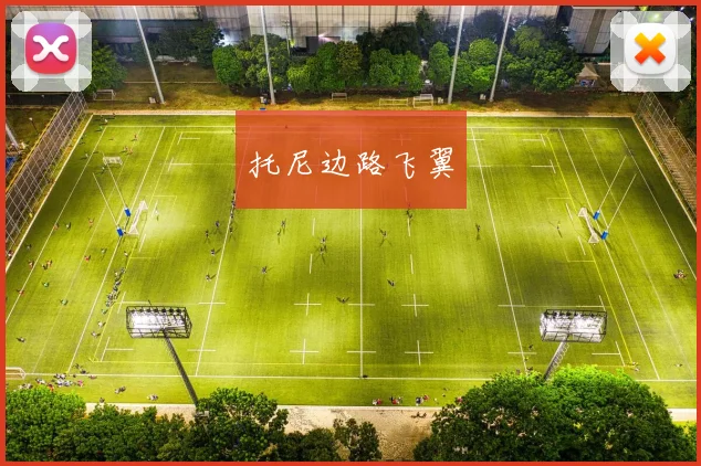 托尼边路飞翼