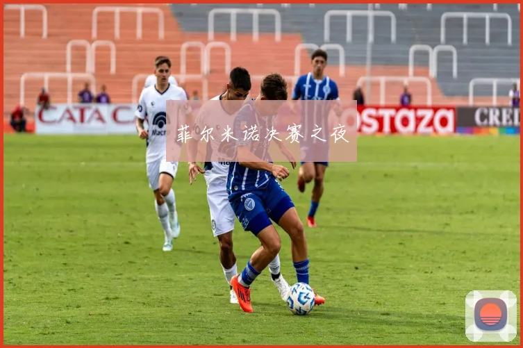 菲尔米诺决赛之夜