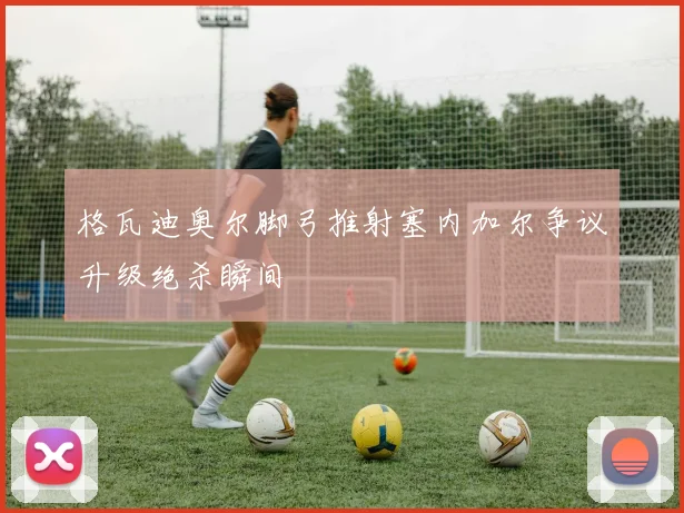 格瓦迪奥尔脚弓推射塞内加尔争议升级绝杀瞬间