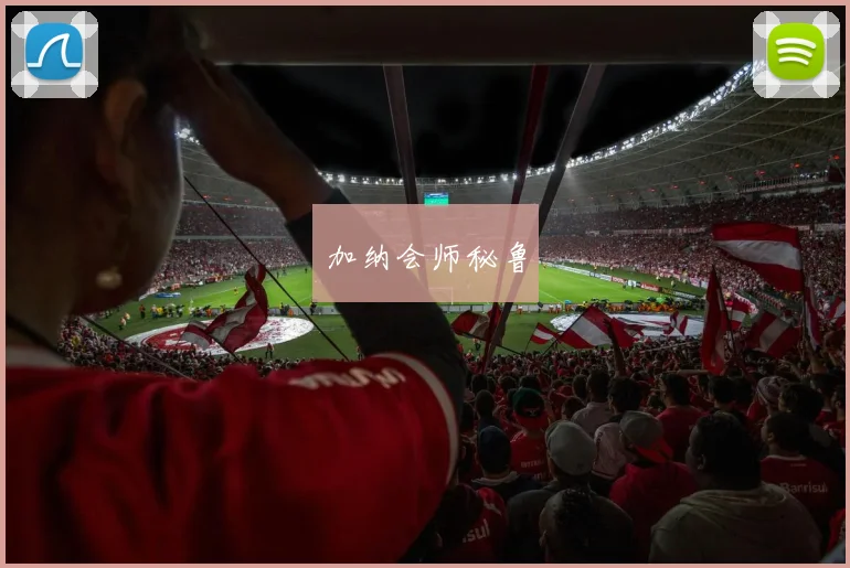 加纳会师秘鲁