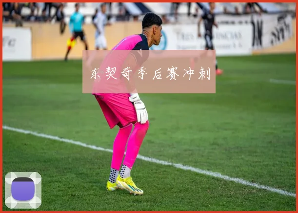 东契奇季后赛冲刺