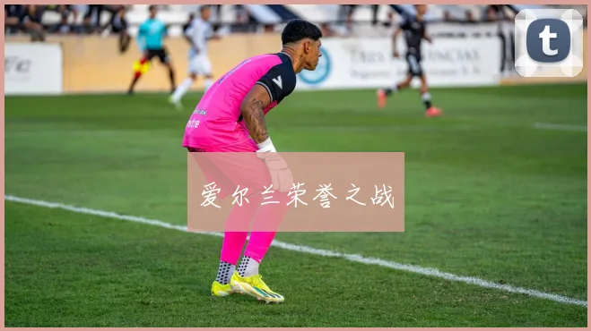 爱尔兰荣誉之战